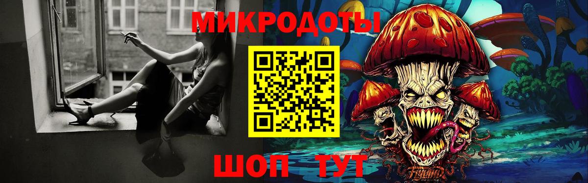 Галлюциногенные грибы прущие грибы Норильск